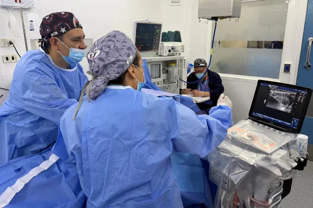 Doctora Rebeca Cordero